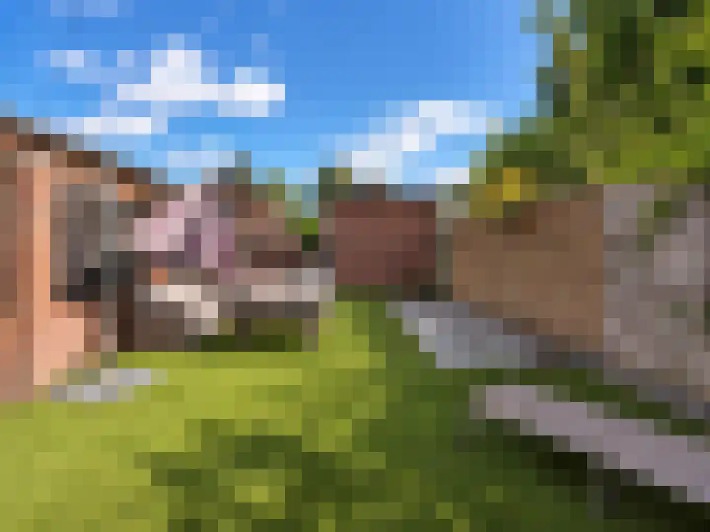 Patrimoniumstraat 5 Driebergen-Rijsenburg thumbnail 28
