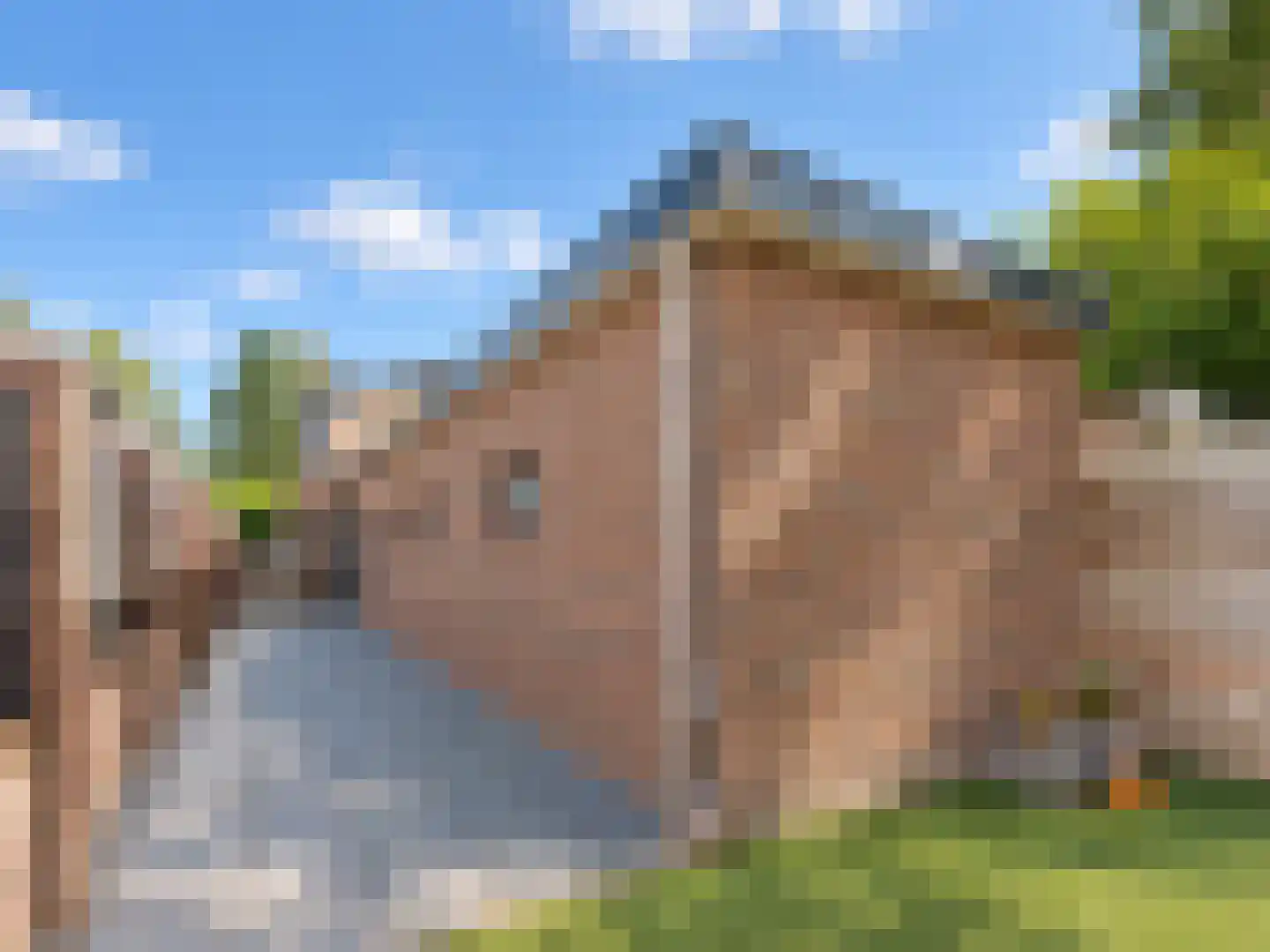 Patrimoniumstraat 5 Driebergen-Rijsenburg thumbnail 30