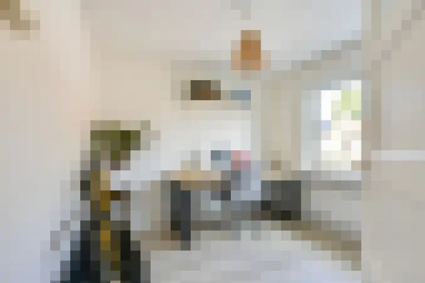Patrimoniumstraat 50 Utrecht thumbnail 28