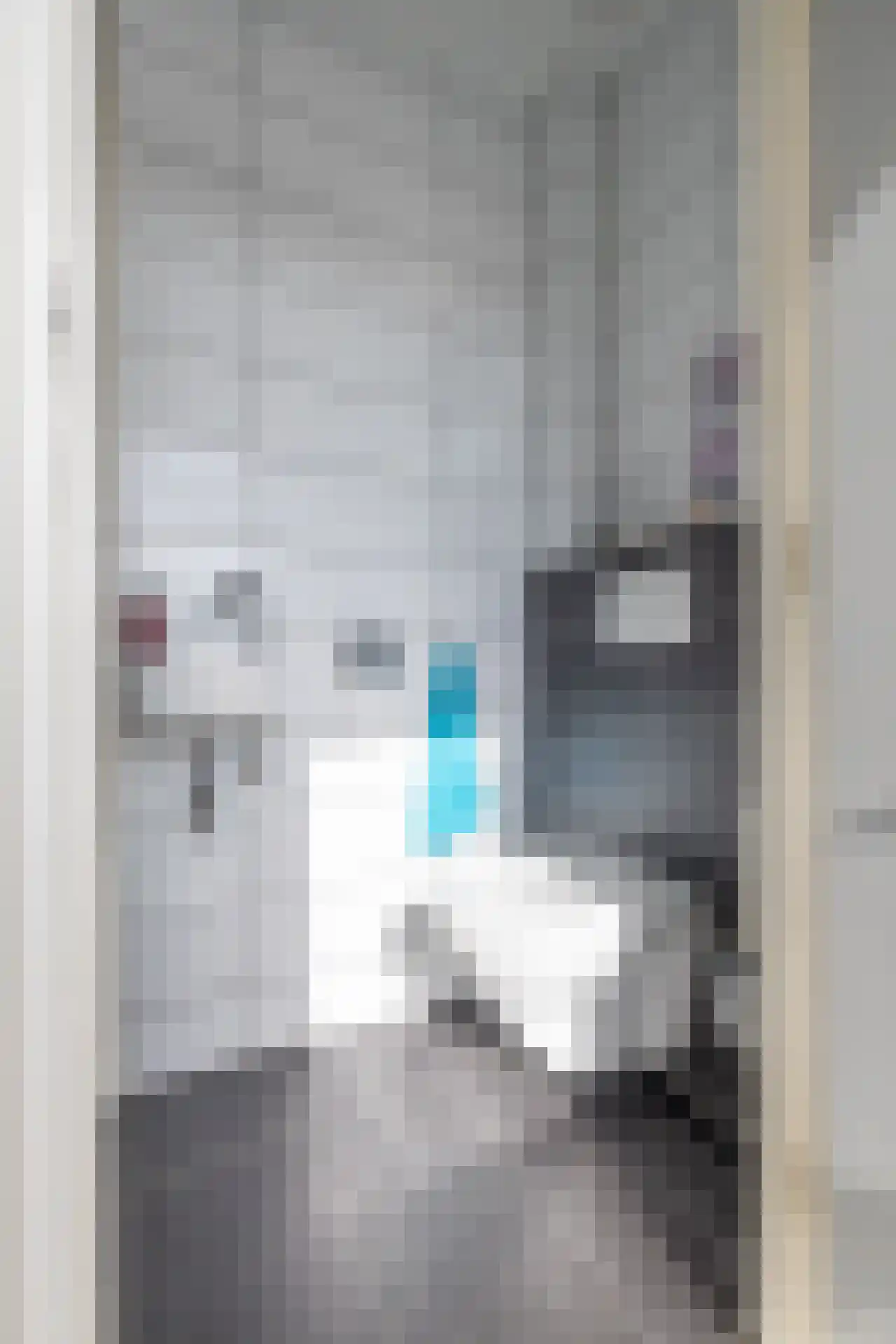 Patrimoniumstraat 7 Kollumerpomp thumbnail 11