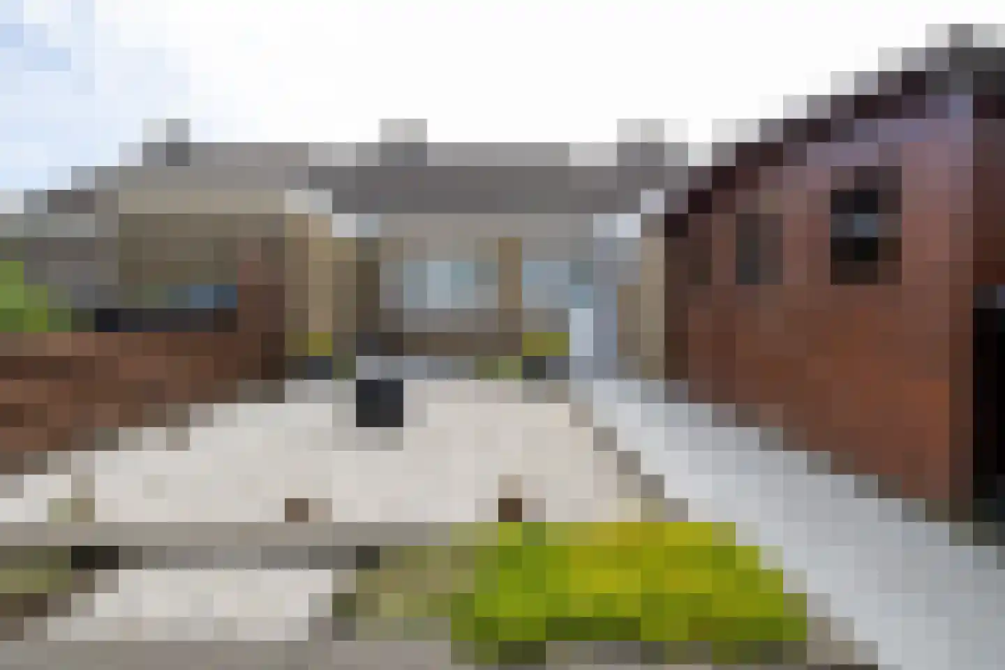 Patrimoniumstraat 7 Kollumerpomp thumbnail 34