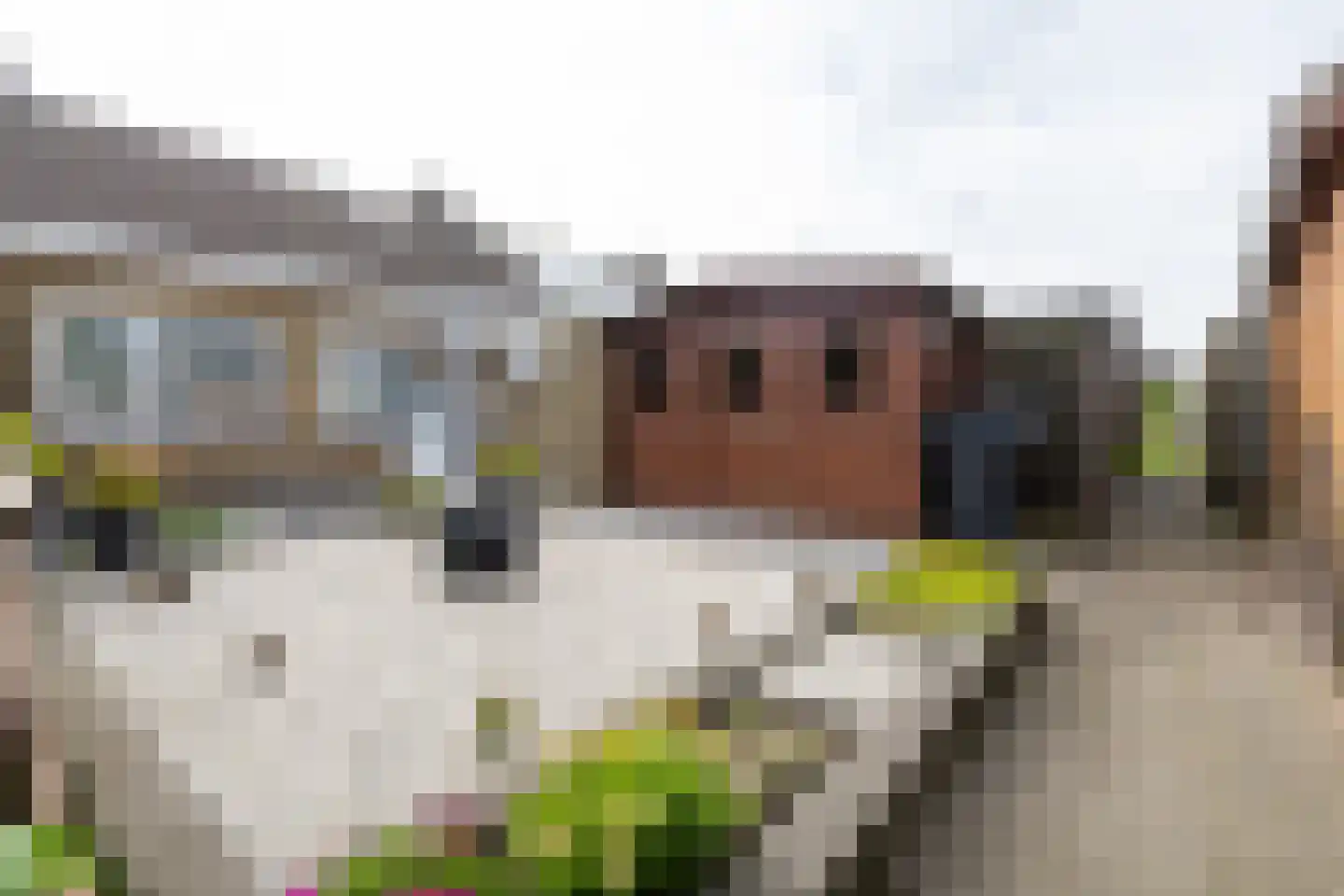 Patrimoniumstraat 7 Kollumerpomp thumbnail 36