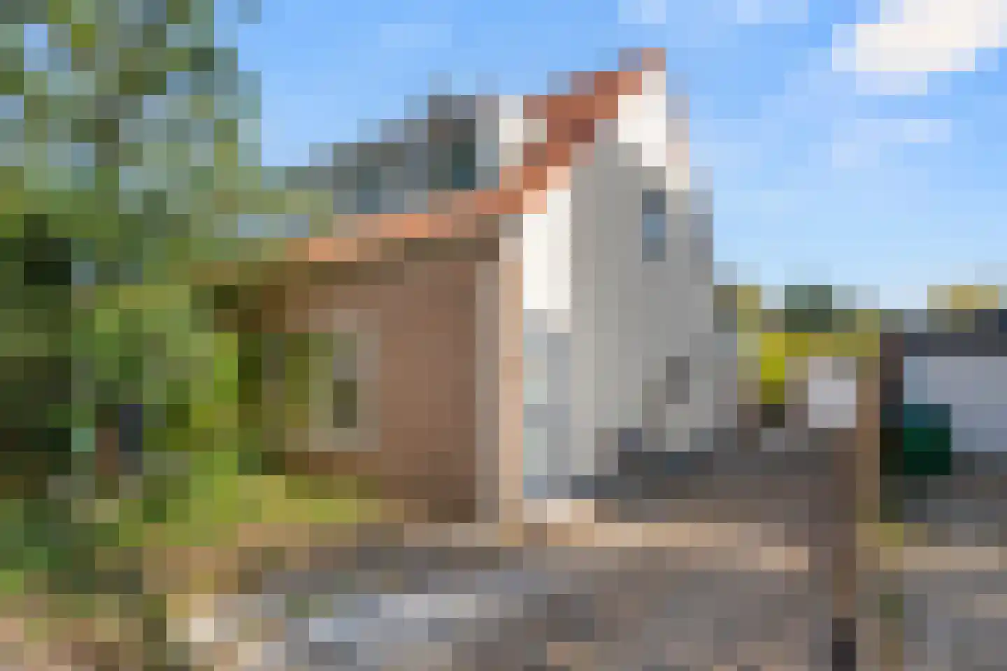 Patrimoniumweg 47 Heelsum thumbnail 33