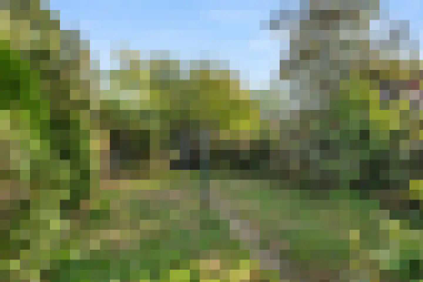 Patrimoniumweg 47 Heelsum thumbnail 36