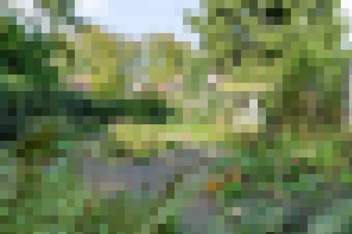 Patrimoniumweg 6 b Doorn thumbnail 23