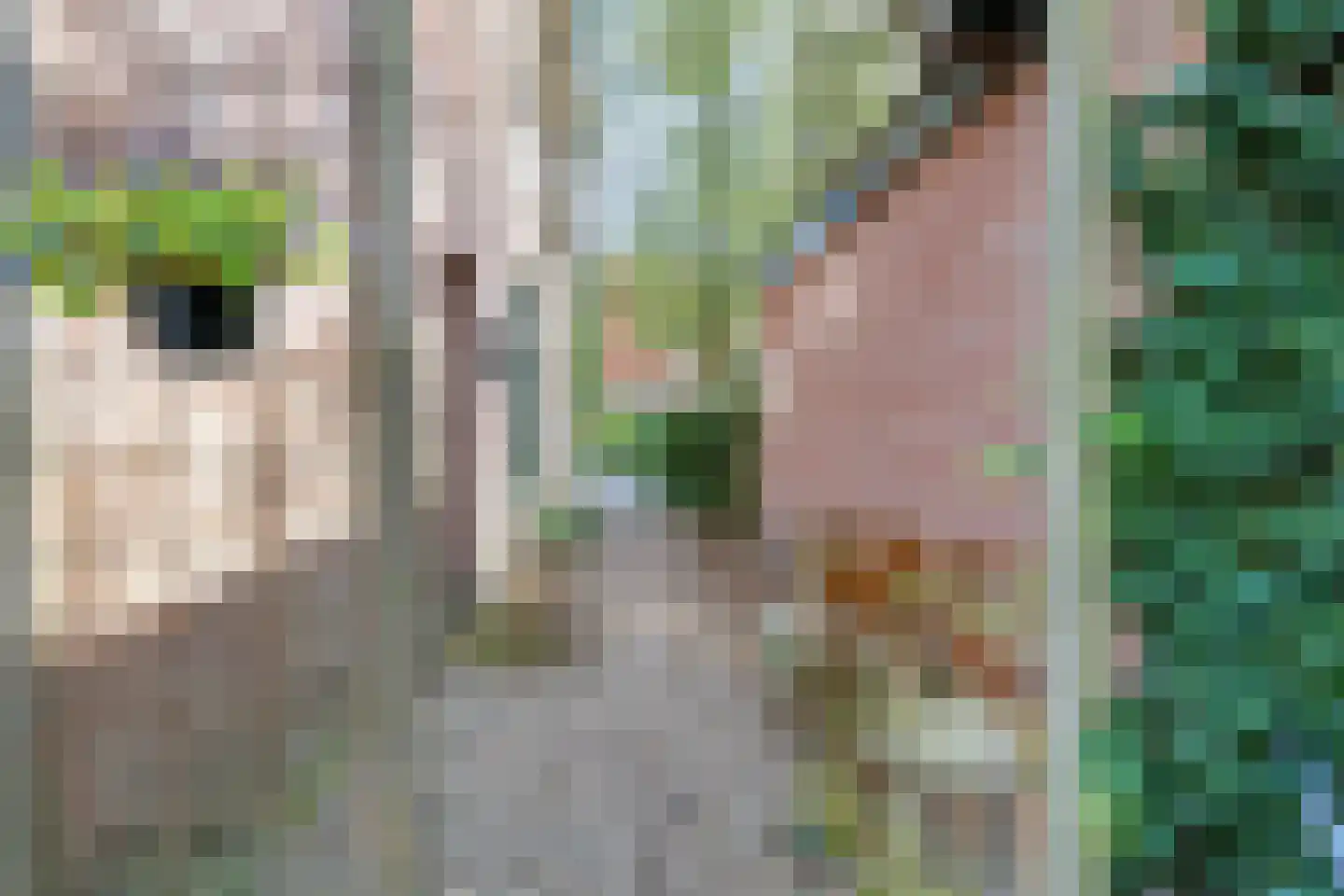 Patrimoniumweg 6 b Doorn thumbnail 42