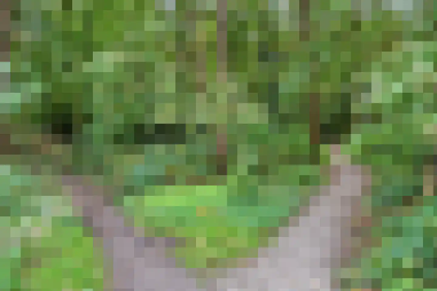 Patrimoniumweg 6 b Doorn thumbnail 47