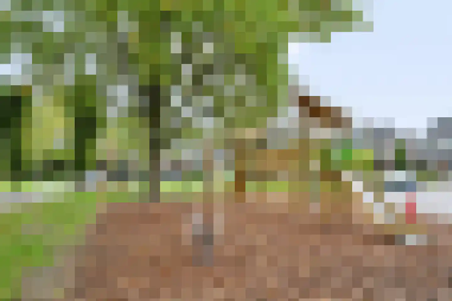 Patrimoniumweg 6 b Doorn thumbnail 50