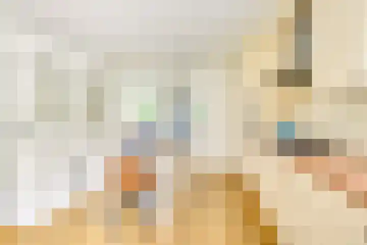 Patriottenland 37 Houten thumbnail 10