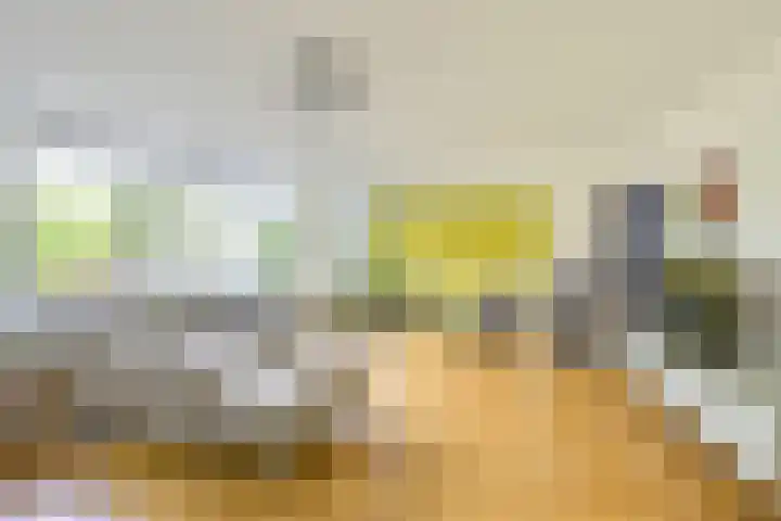 Patriottenland 37 Houten thumbnail 11