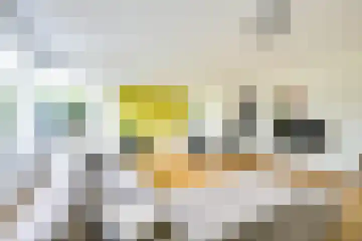 Patriottenland 37 Houten thumbnail 12