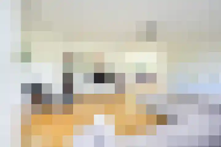 Patriottenland 37 Houten thumbnail 16
