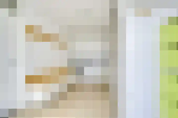 Patriottenland 37 Houten thumbnail 21