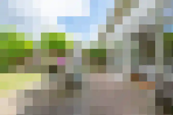 Patriottenland 37 Houten thumbnail 25