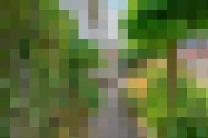 Patriottenland 37 Houten thumbnail 26