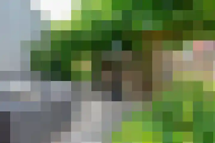 Patriottenland 37 Houten thumbnail 27