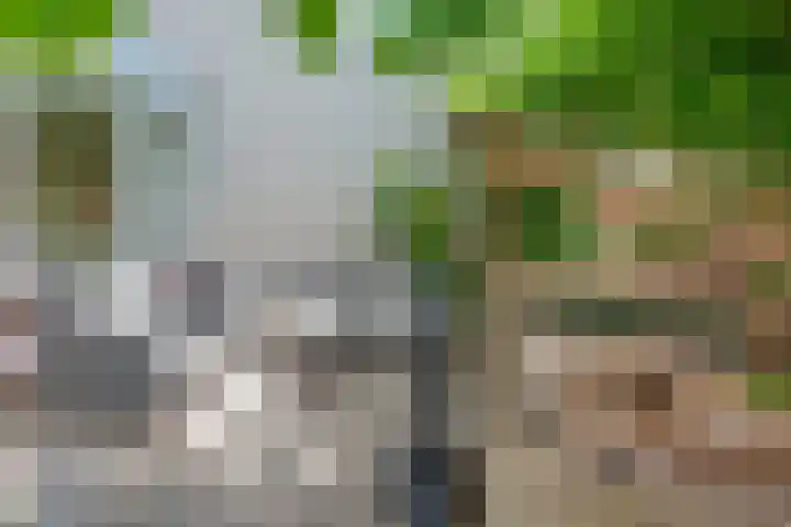 Patriottenland 37 Houten thumbnail 28
