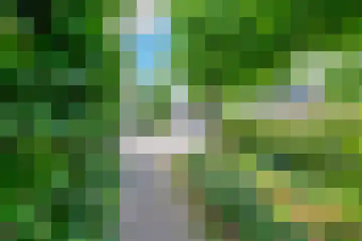 Patriottenland 37 Houten thumbnail 29
