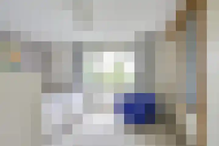 Patriottenland 37 Houten thumbnail 30