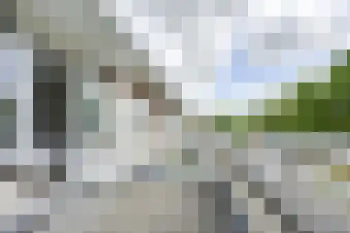 Patriottenland 37 Houten thumbnail 34