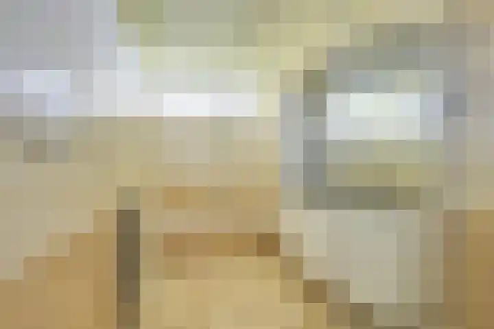 Patriottenland 37 Houten thumbnail 35