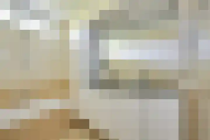 Patriottenland 37 Houten thumbnail 36
