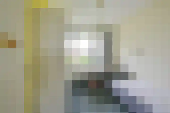 Patriottenland 37 Houten thumbnail 37