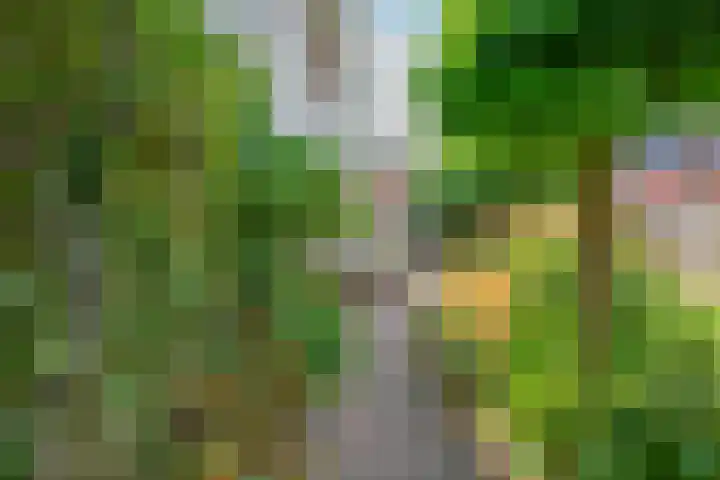 Patriottenland 37 Houten thumbnail 4