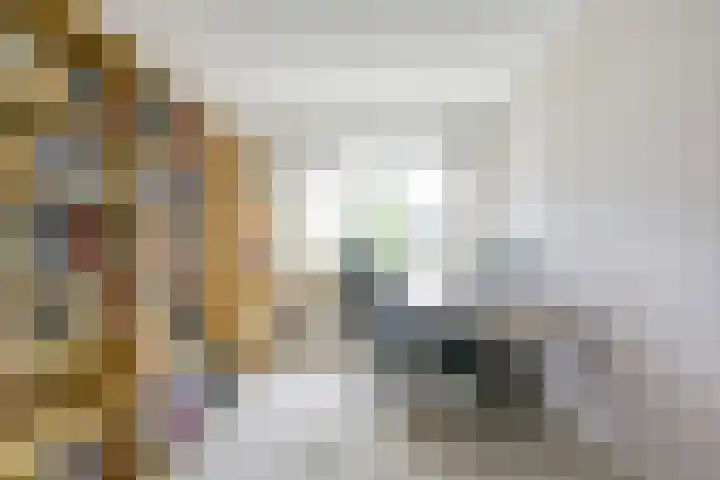 Patriottenland 37 Houten thumbnail 42