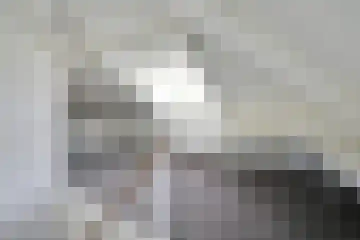 Patriottenland 37 Houten thumbnail 44
