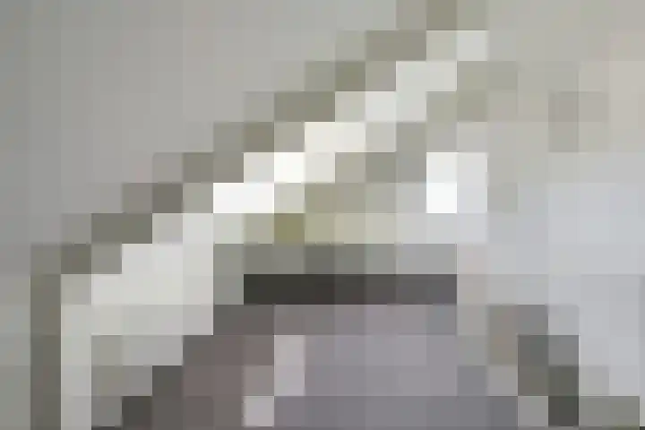 Patriottenland 37 Houten thumbnail 45