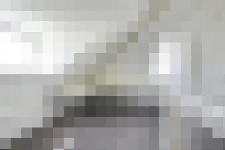 Patriottenland 37 Houten thumbnail 46