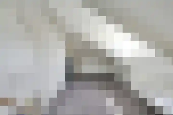 Patriottenland 37 Houten thumbnail 47