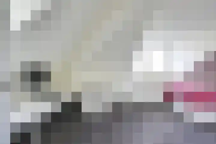 Patriottenland 37 Houten thumbnail 51