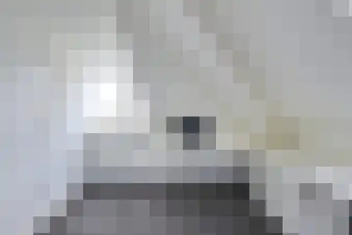 Patriottenland 37 Houten thumbnail 52