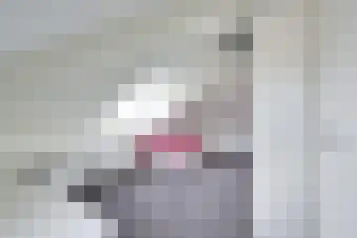 Patriottenland 37 Houten thumbnail 53