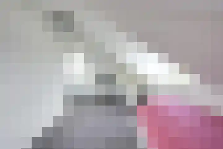 Patriottenland 37 Houten thumbnail 54