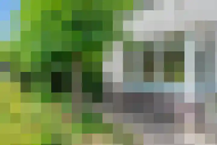 Patriottenland 37 Houten thumbnail 55
