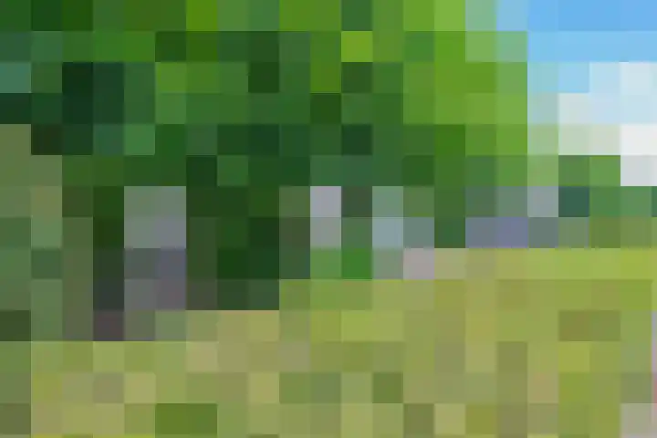 Patriottenland 37 Houten thumbnail 59