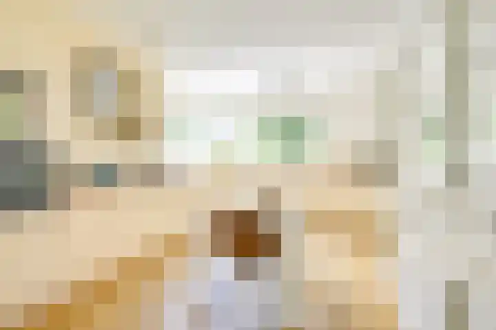 Patriottenland 37 Houten thumbnail 6