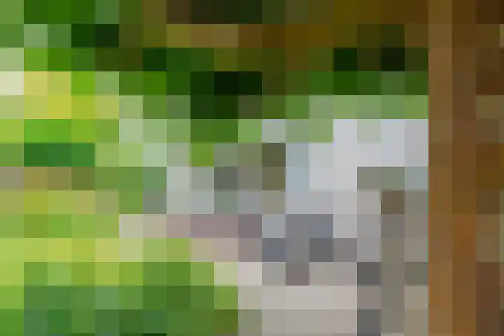 Patriottenland 37 Houten thumbnail 61