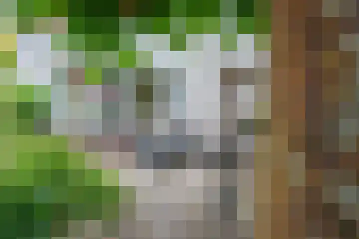 Patriottenland 37 Houten thumbnail 62