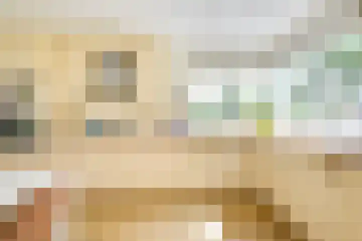 Patriottenland 37 Houten thumbnail 8