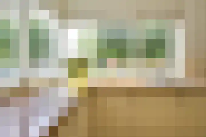 Patriottenland 37 Houten thumbnail 9