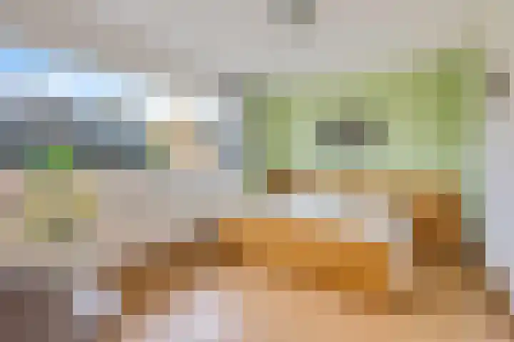 Patriottenland 79 Houten thumbnail 12