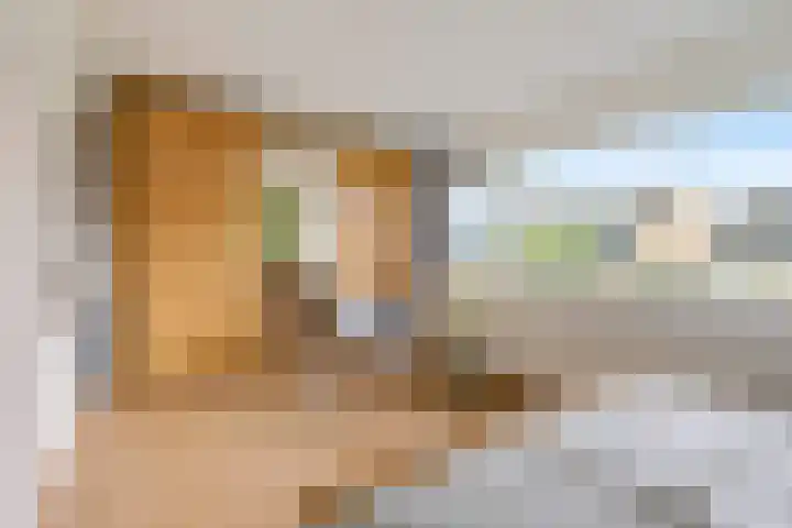 Patriottenland 79 Houten thumbnail 13