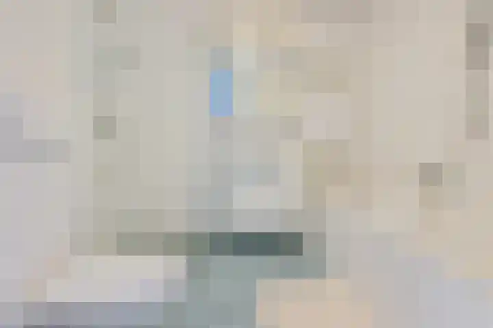 Patriottenland 79 Houten thumbnail 14