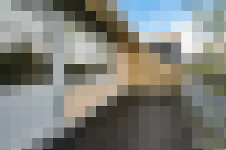 Patriottenland 79 Houten thumbnail 18