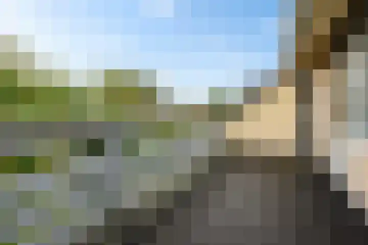 Patriottenland 79 Houten thumbnail 19