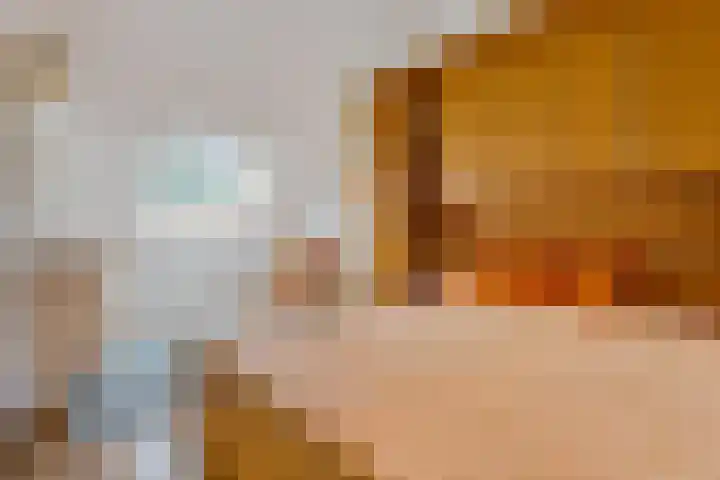 Patriottenland 79 Houten thumbnail 21